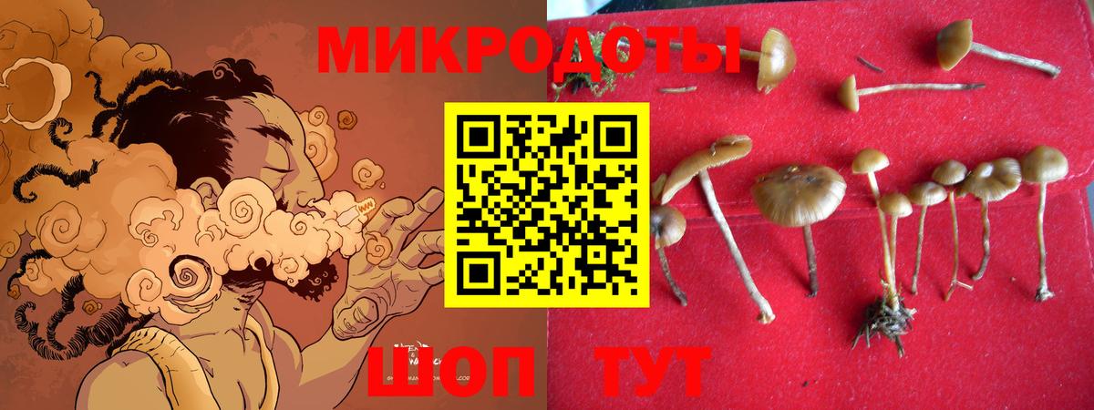 Псилоцибиновые грибы мухоморы Кушва